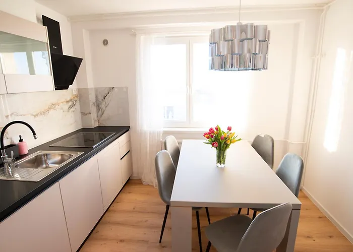 Elite Vista-with Parking * Laibach